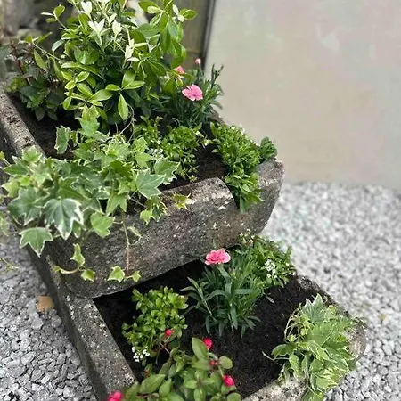 Holiday home Tosside Fold Farm *