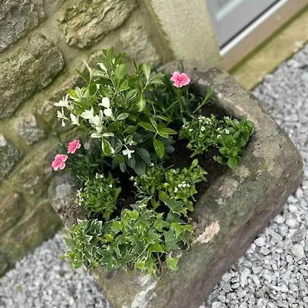 Tosside Fold Farm Skipton