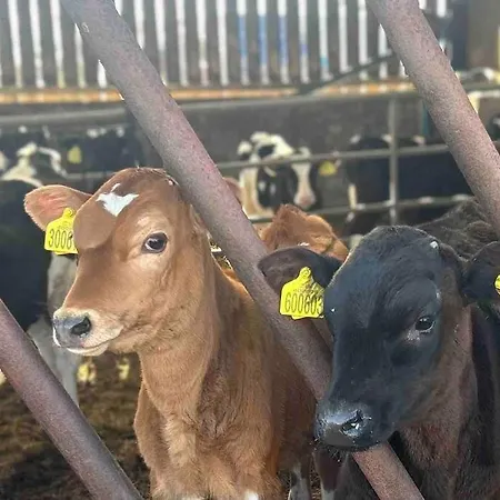 Tosside Fold Farm