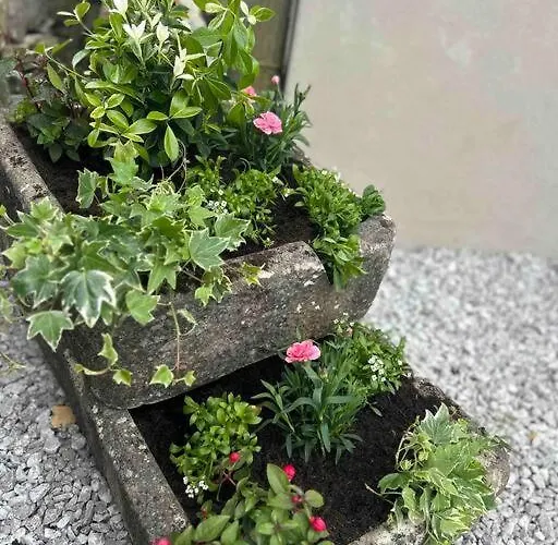 בית נופש Tosside Fold Farm *