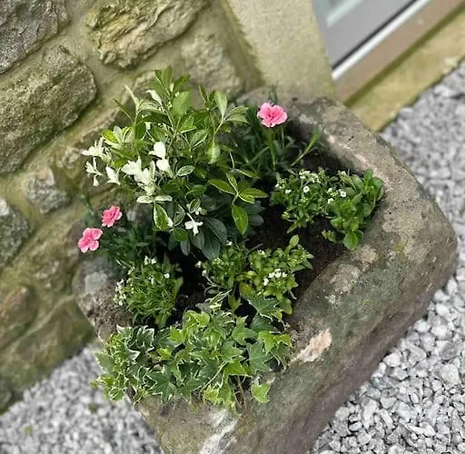 Tosside Fold Farm סקיפטון